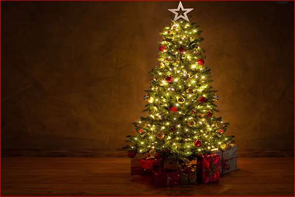 فیلم | روشن&zwnj;شدن درخت کریسمس در قرقیزستان