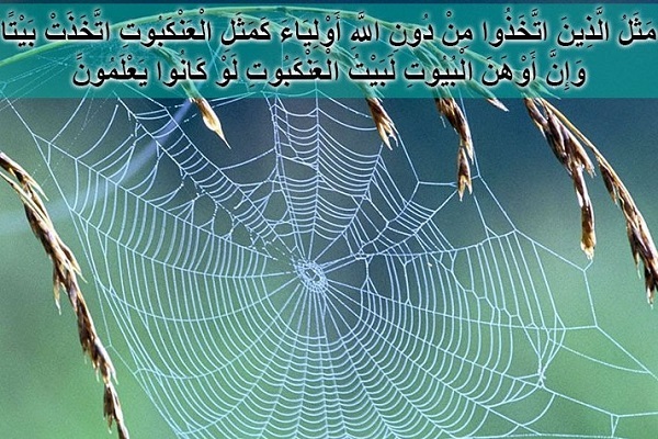 سوره عنکبوت