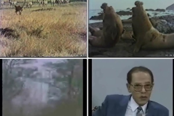 مصطفی محمود: سیری از آستانه الحاد تا تلاش برای فهم علم با ایمان