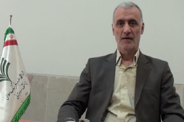 محمدمحمود سعیدی