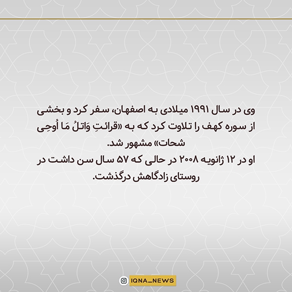 شحات محمد انور