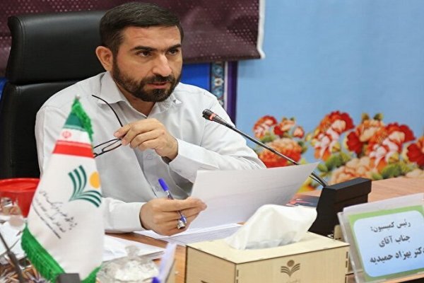 بهزاد حمیدیه