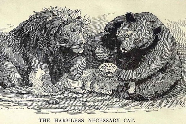 هیکل/// هیکل///