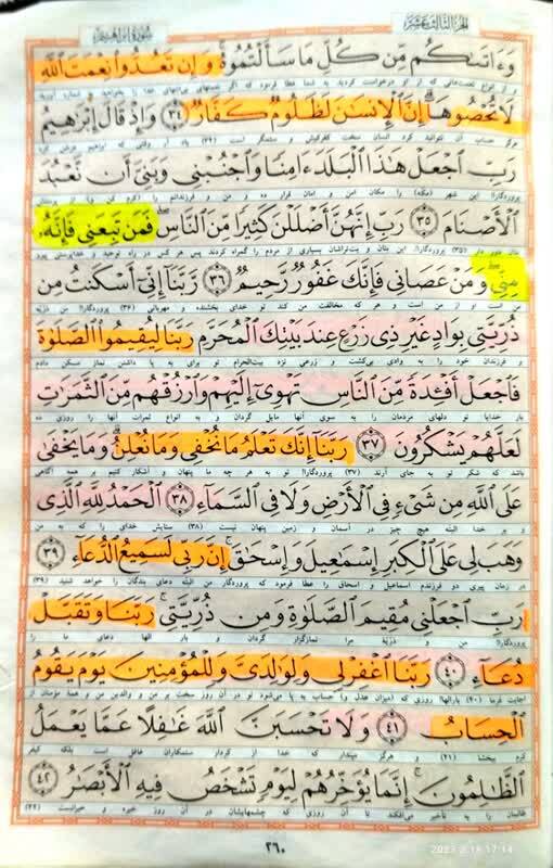 «گنجينه نور»؛ ارائه ۳۱۳ پیام قرآنی به تفکیک ۳۰ جزء + دانلود