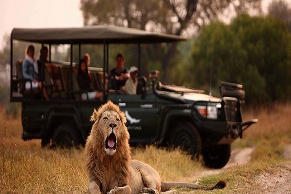 تلاش بوتسوانا برای جذب گردشگران خاورمیانه از طریق گردشگری حلال تلاش بوتسوانا برای جذب گردشگران خاورمیانه از طریق گردشگری حلال