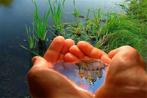 نقش اسلام در جنبش زیست محیطی/آماده نقش اسلام در جنبش زیست محیطی/آماده