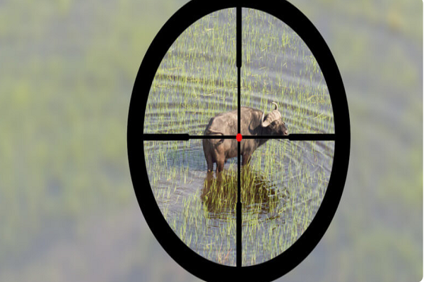 نگاهی به پتانسیل بالای گوشت شکار حلال در جهان