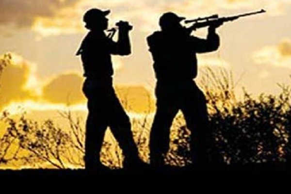 نگاهی به پتانسیل بالای گوشت شکار حلال در جهان