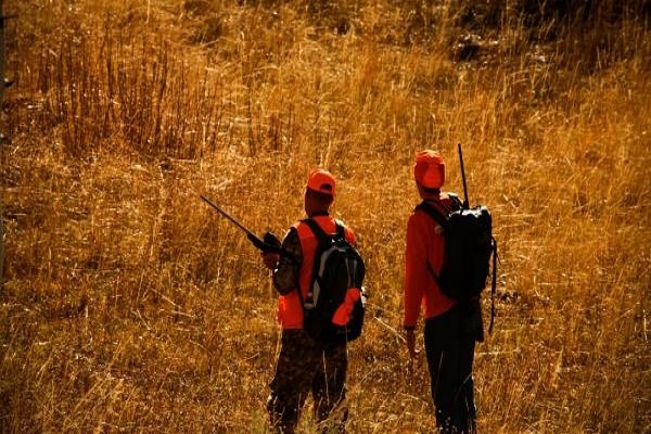 ظرفیت بالای گوشت شکار حلال در جهان