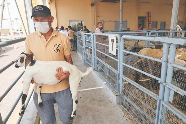 تشویق ساکنان دبی برای استفاده از اپلیکیشن سفارش دام عید قربان