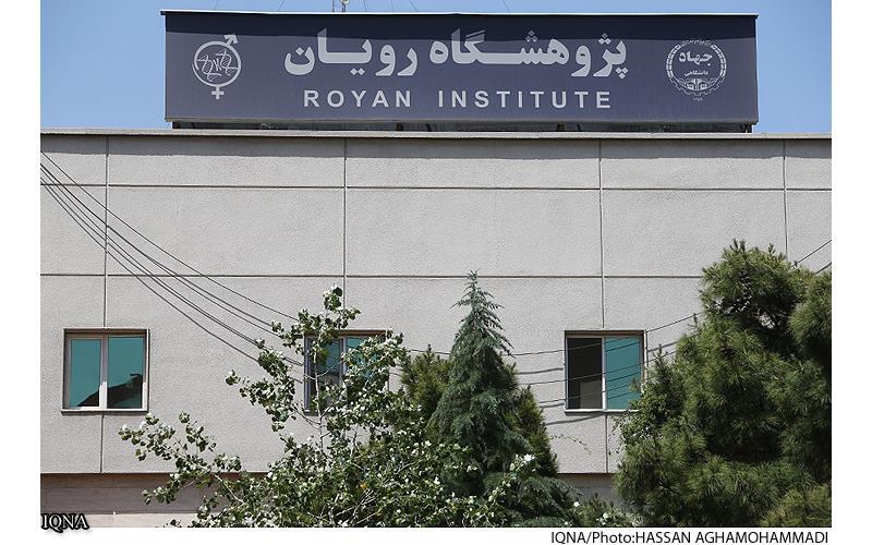 یک شنبه/ چرا مسلمانان اروپا و آمریکا برای درمان ناباروری به ایران میآیند یک شنبه/ چرا مسلمانان اروپا و آمریکا برای درمان ناباروری به ایران میآیند