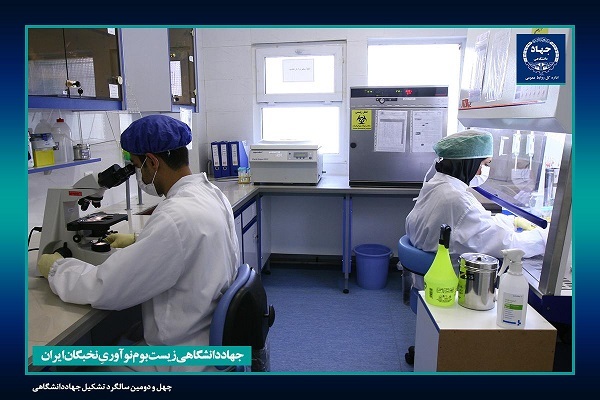 چترحمایتی جهاددانشگاهی بر ۵۱۰ شرکت فناور و دانشبنیان چترحمایتی جهاددانشگاهی بر ۵۱۰ شرکت فناور و دانشبنیان