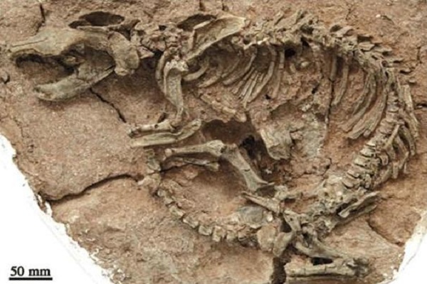 «قُل كُونُواْ حِجَارَةً أَوْ حَدِيداً» و همخوانی نص قرآن با دستاوردهای علم جدید «قُل كُونُواْ حِجَارَةً أَوْ حَدِيداً» و همخوانی نص قرآن با دستاوردهای علم جدید