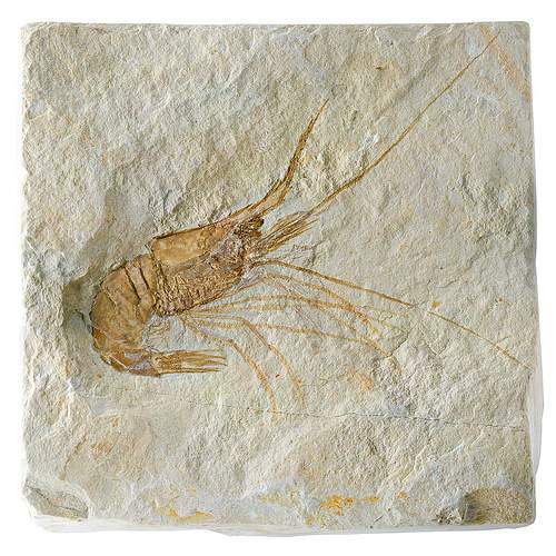 «قُل كُونُواْ حِجَارَةً أَوْ حَدِيداً» و همخوانی نص قرآن با دستاوردهای علم جدید «قُل كُونُواْ حِجَارَةً أَوْ حَدِيداً» و همخوانی نص قرآن با دستاوردهای علم جدید