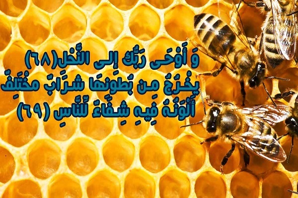 سوره نحل؛ تبیین نعمت‌های بی‌شمار الهی