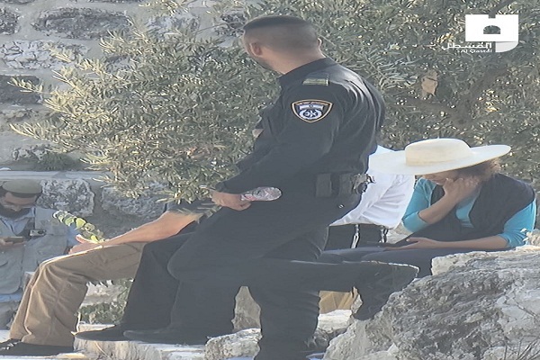 صهیونیستها در حال انجام آداب تلمودی در مسجد الاقصی صهیونیستها در حال انجام آداب تلمودی در مسجد الاقصی