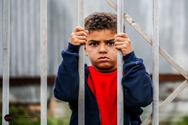 کودکان بیش از 50 درصد از تعداد شهروندان کل فلسطین را تشکیل میدهند کودکان بیش از 50 درصد از تعداد شهروندان کل فلسطین را تشکیل میدهند