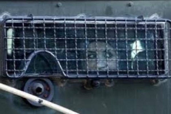 هشدارها نسبت به 60 عملیات حفاری پیرامون مسجد الاقصی تا همبستگی با فلسطینیان از لبنان تا لندن هشدارها نسبت به 60 عملیات حفاری پیرامون مسجد الاقصی تا همبستگی با فلسطینیان از لبنان تا لندن