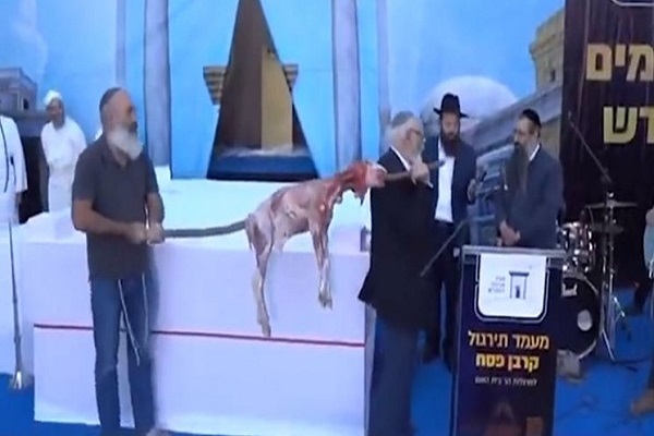 هشدارها در پی فراخوان صهیونیستها برای تقدیم قربانی در مسجد الاقصی /آماده هشدارها در پی فراخوان صهیونیستها برای تقدیم قربانی در مسجد الاقصی /آماده