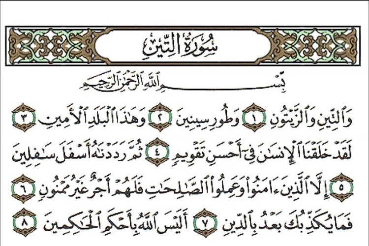 ارسال//تحلیلی بر محتوای احادیث تأویل‌کننده «تین» و «زیتون» بر حسنین(ع)