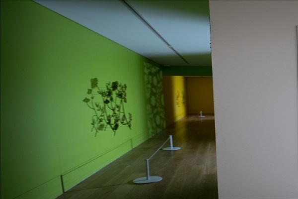 نمایشگاه نقاشی هنرمند نیوزلندی از گیاهان و میوه‌های قرآنی+عکس