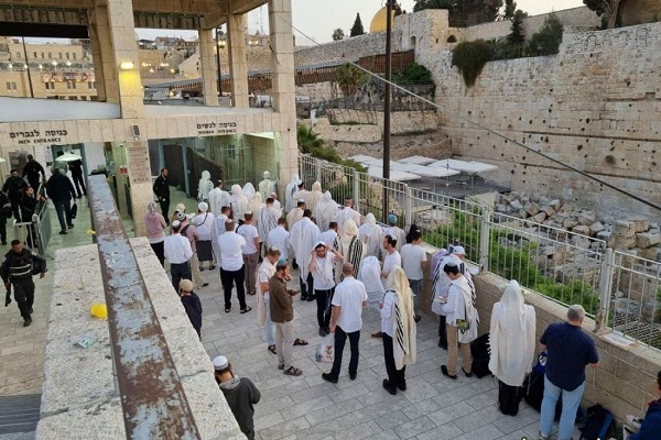 بیانیه جهاد اسلامی در سالروز کشتار دیریاسین/تظاهرات ضد صهیونیستی در شهرهای آمریکا بیانیه جهاد اسلامی در سالروز کشتار دیریاسین/تظاهرات ضد صهیونیستی در شهرهای آمریکا