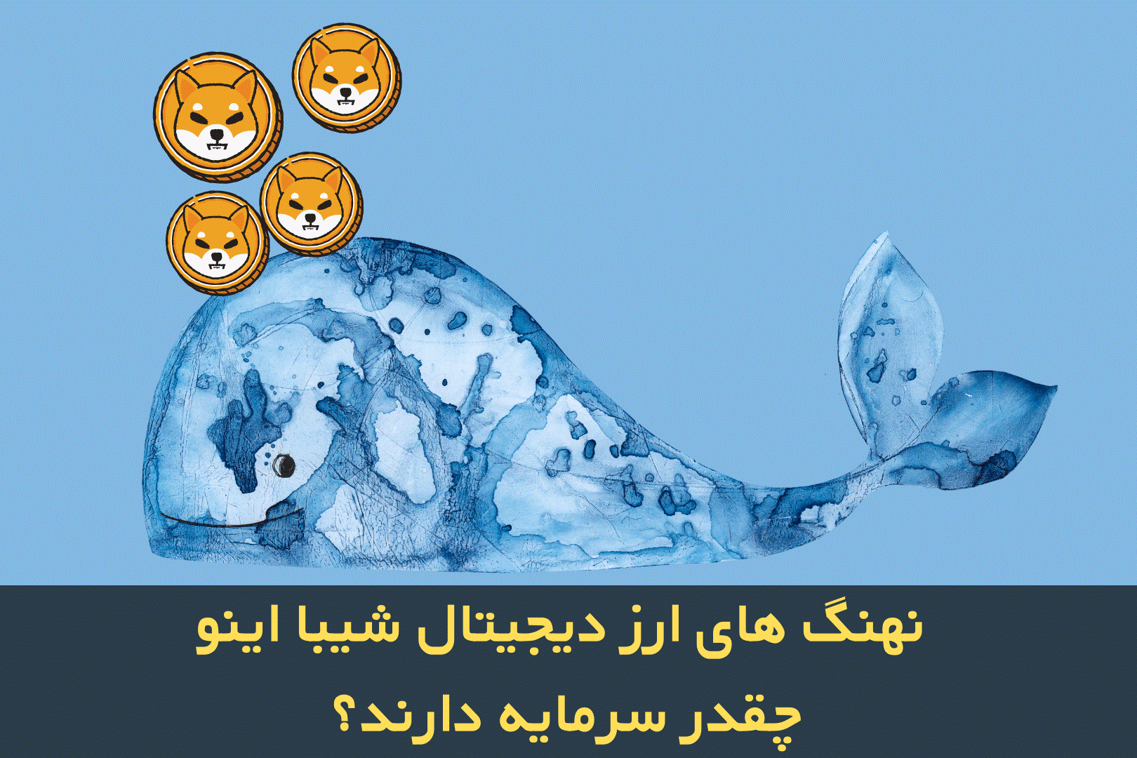 نهنگ‌های ارز دیجیتال شیبا اینو چقدر سرمایه دارند؟