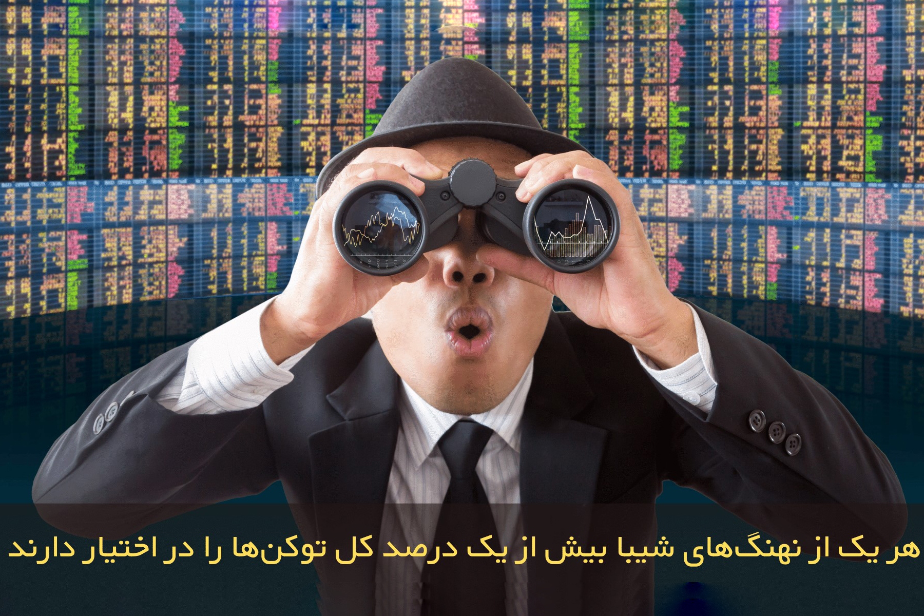 نهنگ‌های ارز دیجیتال شیبا اینو چقدر سرمایه دارند؟