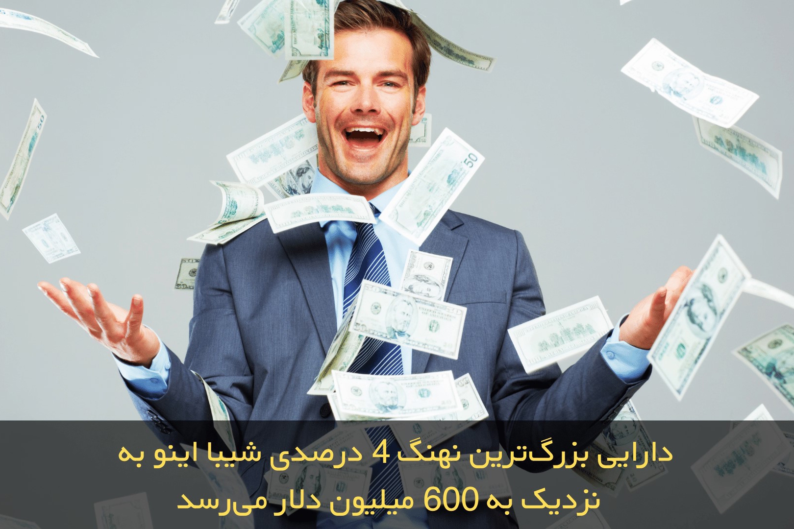 نهنگ‌های ارز دیجیتال شیبا اینو چقدر سرمایه دارند؟