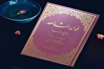 مرهم زخم امیرالمؤمنین(ع) باشیم