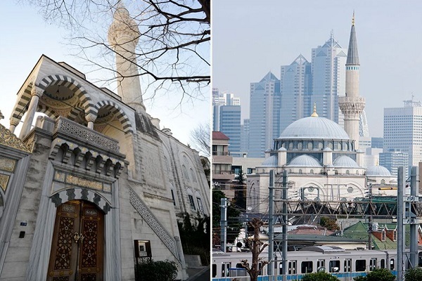 رایزن ژاپن رایزن ژاپن