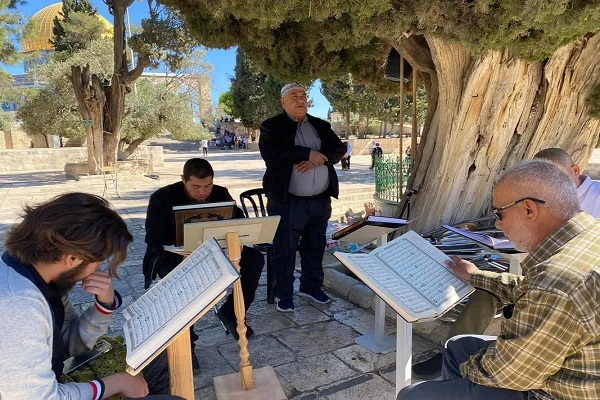 از رقص تلمودی وزیر صهیونیست در حرم ابراهیمی تا هتک حرمت مصلای باب الرحمه/آماده از رقص تلمودی وزیر صهیونیست در حرم ابراهیمی تا هتک حرمت مصلای باب الرحمه/آماده