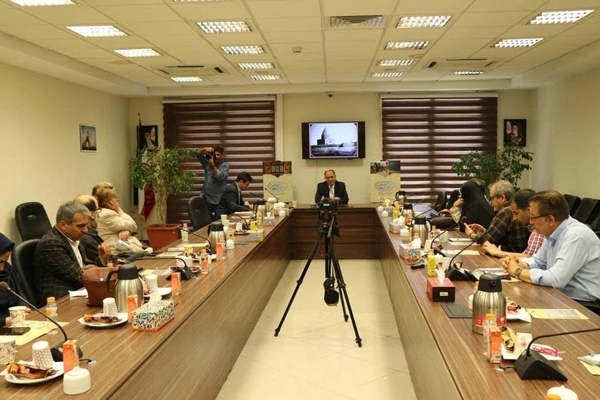 محمود شالویی