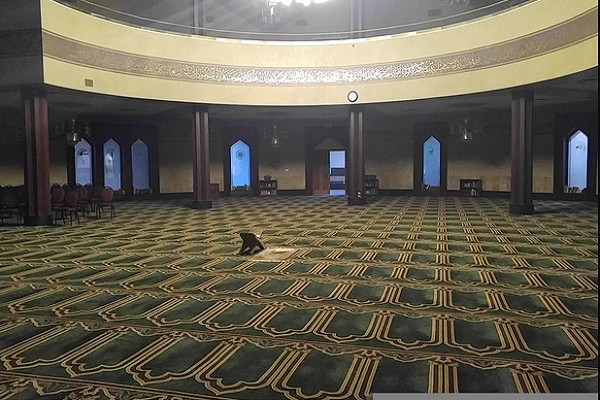 شیعیان،صاحب بزرگترین مسجد آمریکا هستند + تصاویر شیعیان،صاحب بزرگترین مسجد آمریکا هستند + تصاویر