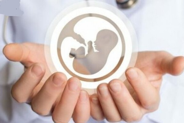 وبینار باروری و بارداری سالم با رویکرد طب ایرانی برگزار می‌شود