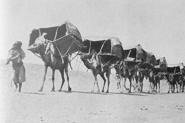 راه مکه: سیر سفر به حج در طول تاریخ راه مکه: سیر سفر به حج در طول تاریخ