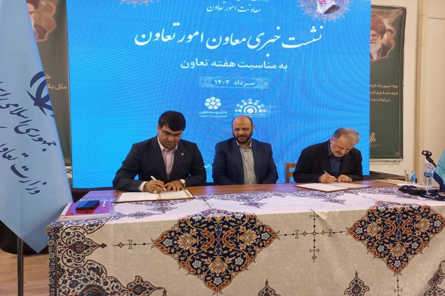 مسکنی معاون تعاون وزارت تعاون