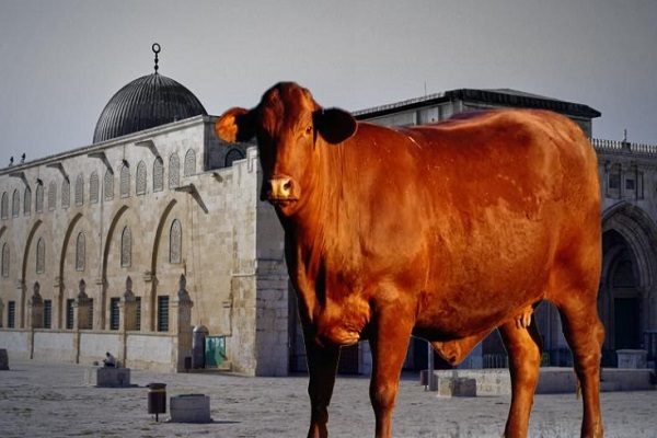 افسانه سرایی صهیونیست‌ها برای یهودی‌سازی قبله‌گاه نخست مسلمانان