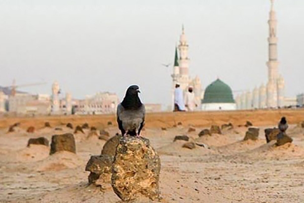 حجاب حضرت زهرا