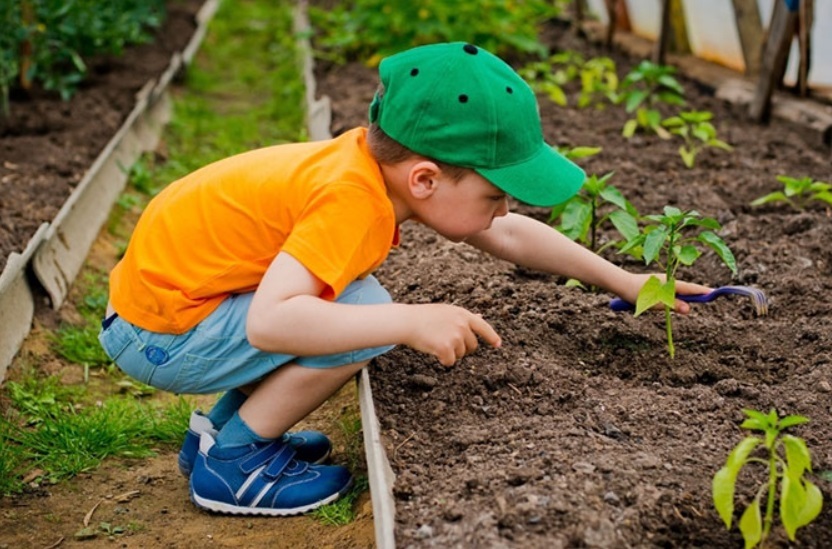 مسئولیت پذیری