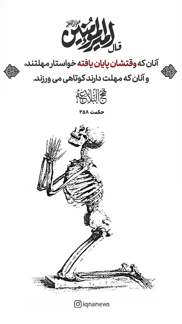 حکمت نهج البلاغه