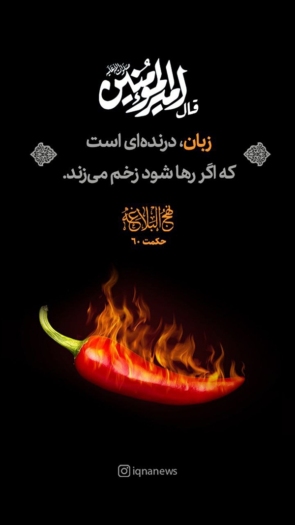 زبان درنده‌ای که زخم میزند