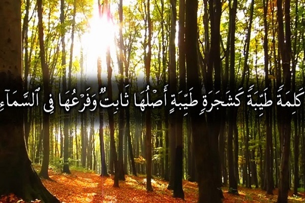 جایگاه درختان در اسلام؛ ابتدا، ابتلا و وعده‌‌گاه انسان/