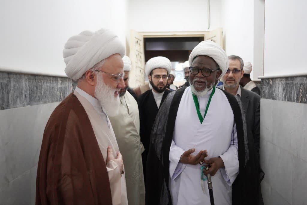 دیدار آیت الله یعقوبی با شیخ زکزاکی دیدار آیت الله یعقوبی با شیخ زکزاکی