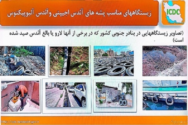 بروز همه‌گیری آئدس در کشور در صورت اهمال دستگاه‌ها