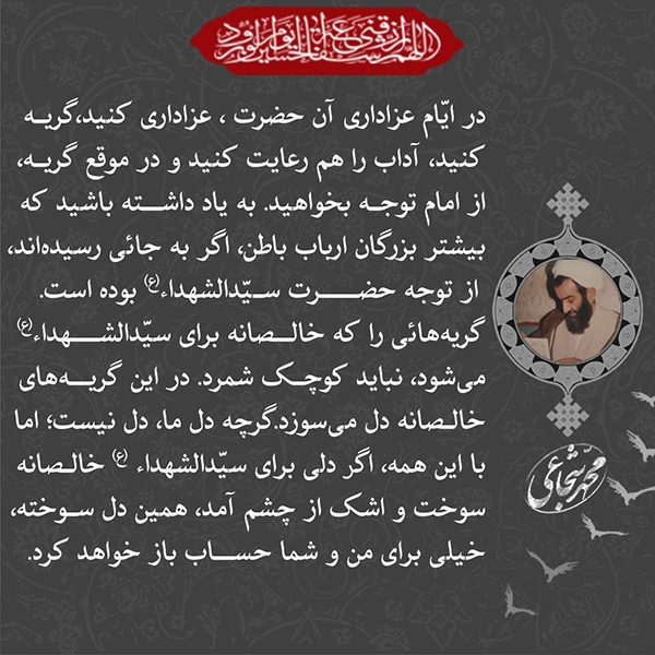 گریه‌ها را کوچک نشمارید