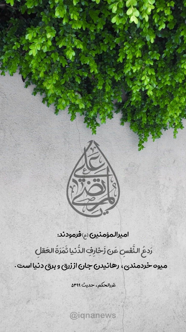 میوه خردمندی