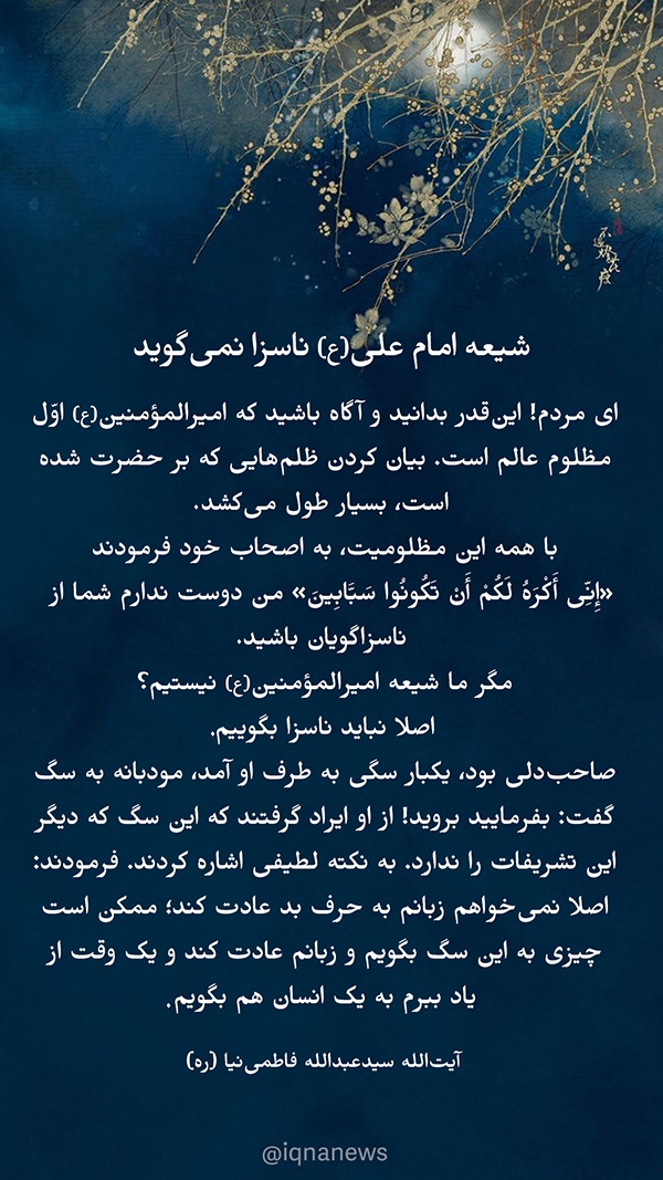 آیت الله فاطمی نیا  شیعه امام علی ناسزا گفتن