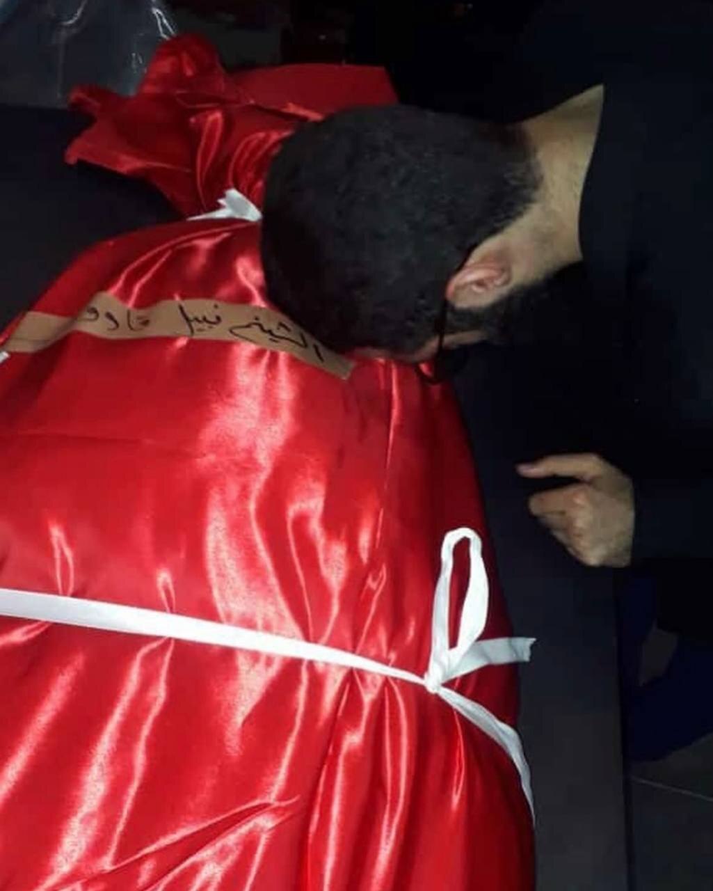 شیخ نبیل قاووق؛ مدافع قدرتمند محور مقاومت