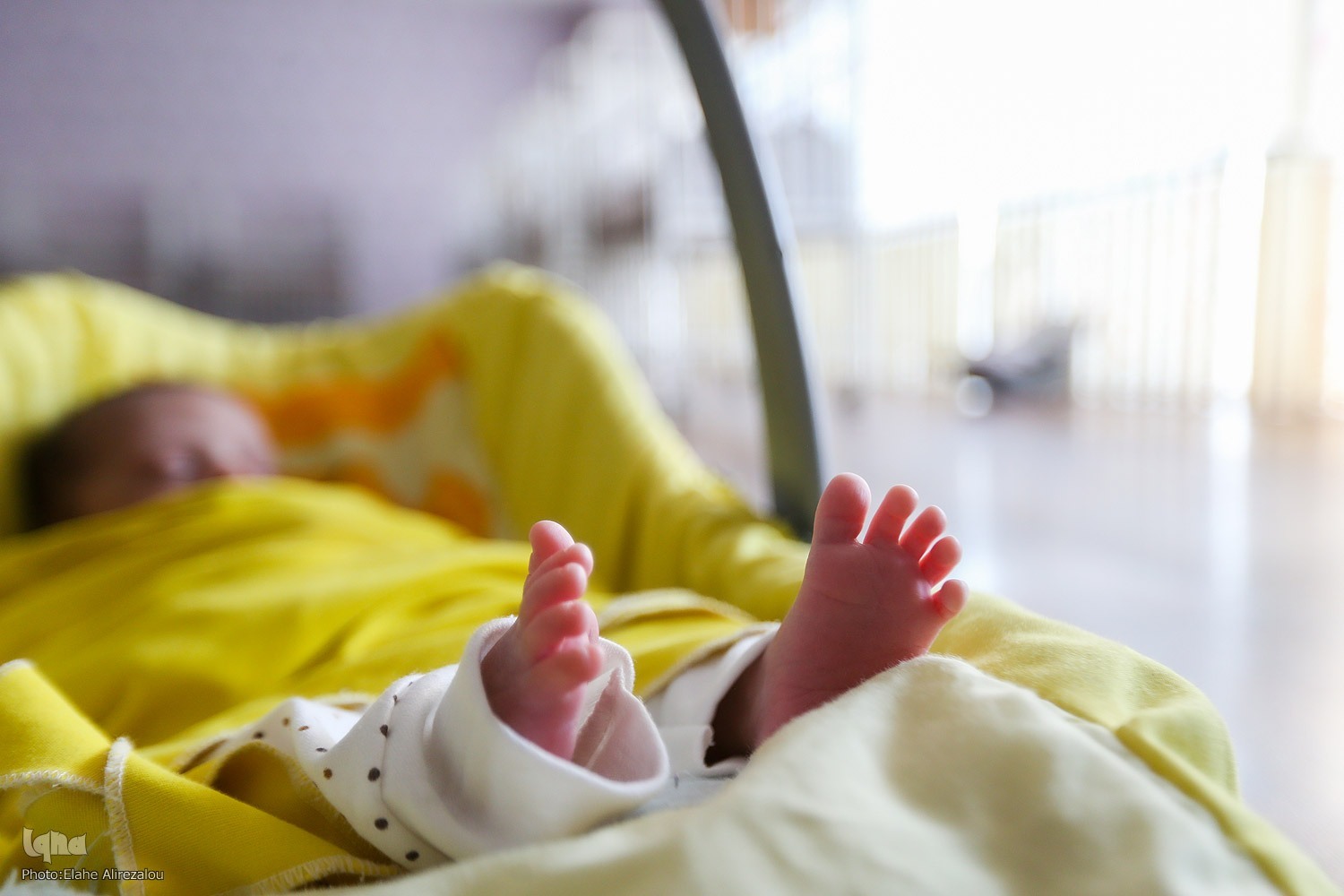 چرا نباید به کودک شیرخوار غذای سفره داد